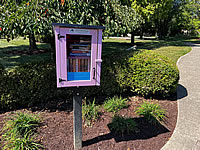 Little Free Library